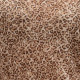 BLUZKA - ZAP225005 043 (36) (BIELLA)